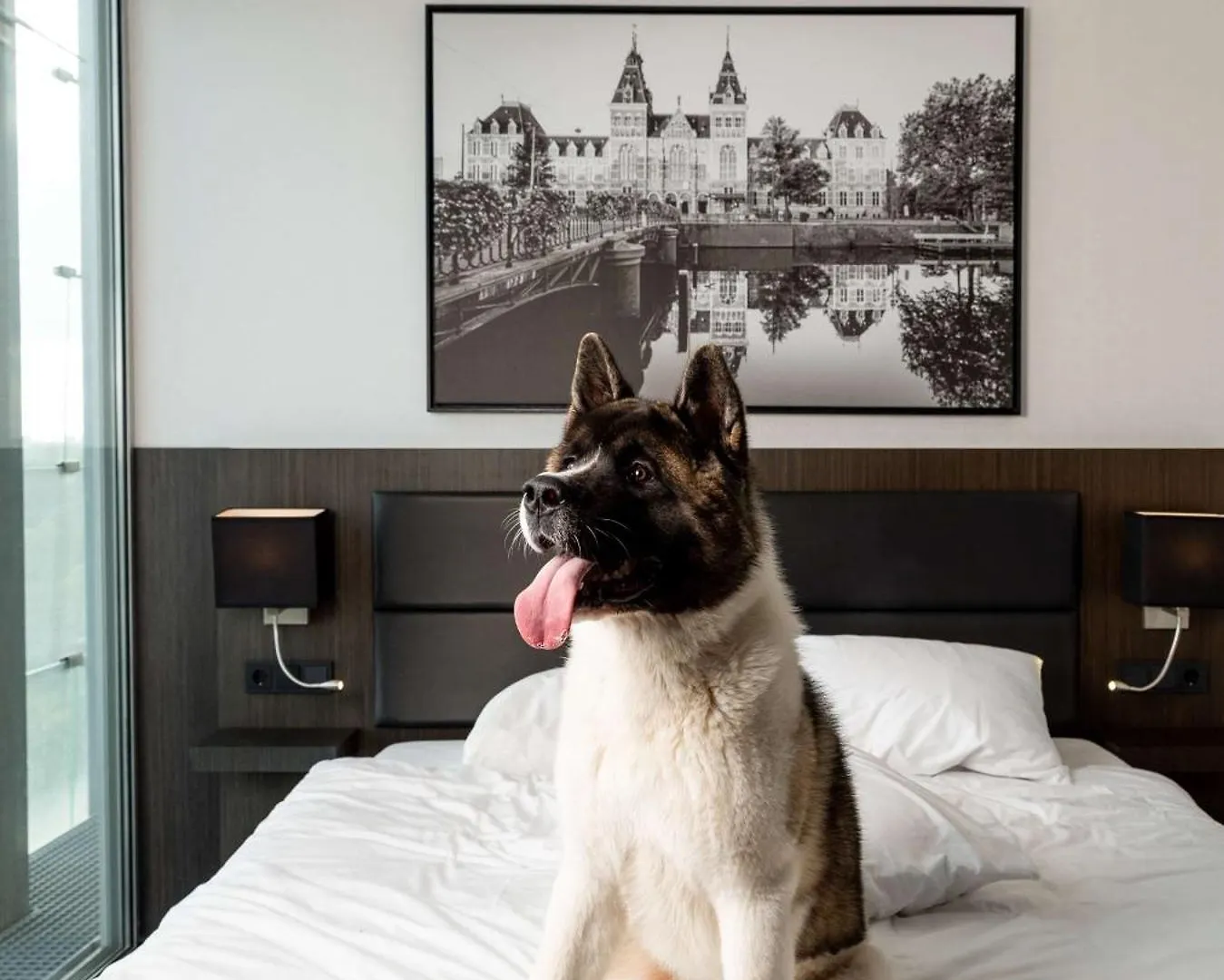 ****  אמסטלבין Radisson Hotel & Suites Amsterdam South הולנד